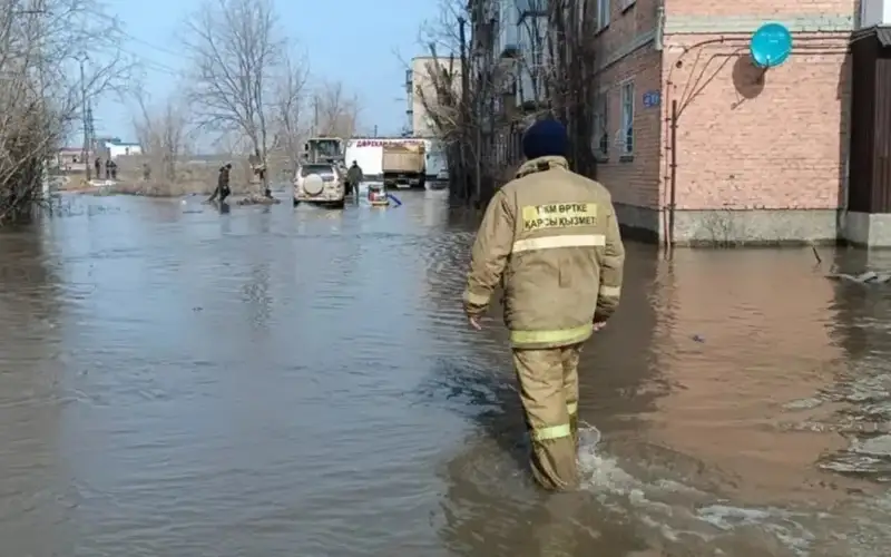 Over 50,000 flood victims return their homes after floods 