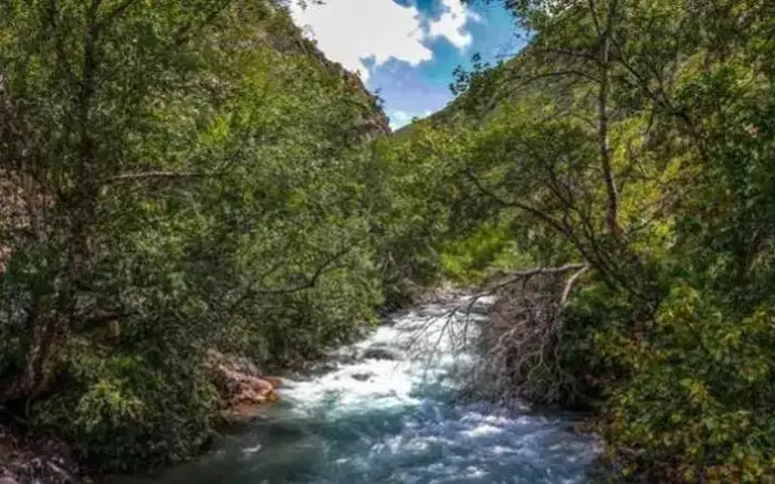 горная река