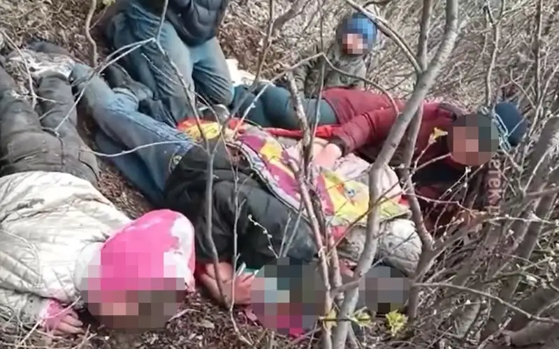 Многодетную семью нашли в лесопосадке в Павлодарской области