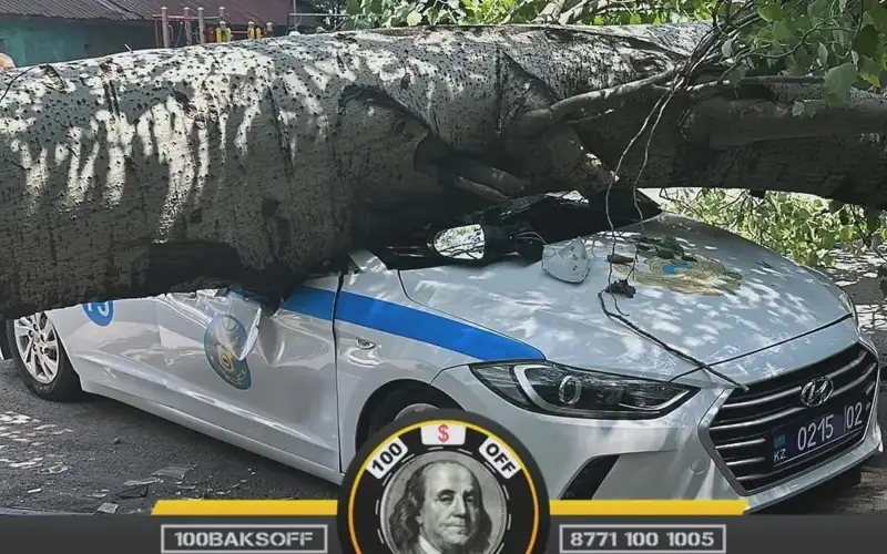 Фото: instagram.com/100baksoff/