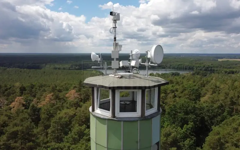 лес,  система раннего обнаружения лесных пожаров 