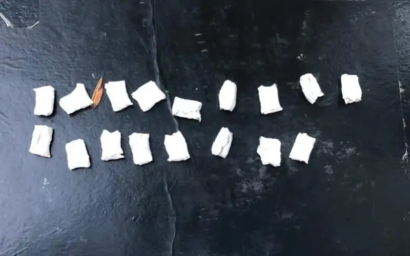 Около двух тысяч доз «синтетики» обнаружили у жителя Экибастуза