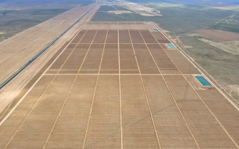 посевная, сельское хозяйство