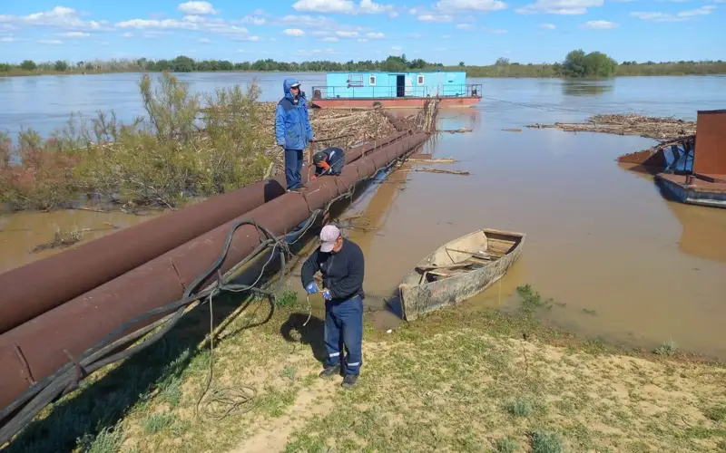 Паводковую воду направляют на полив сенокосных угодий в Атырауской области