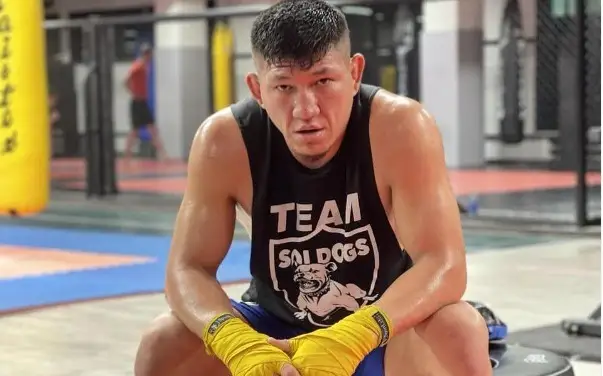 Куат Хамитов, UFC, смешанные единоборства