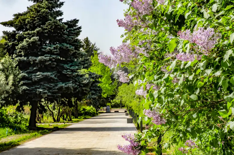 park Almaty saıabaq