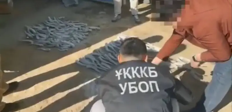 Граждан Сирии и Казахстана задержали за браконьерство в Туркестанской области 