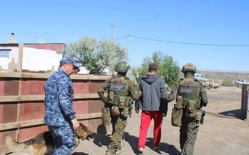 наркотики, полиция