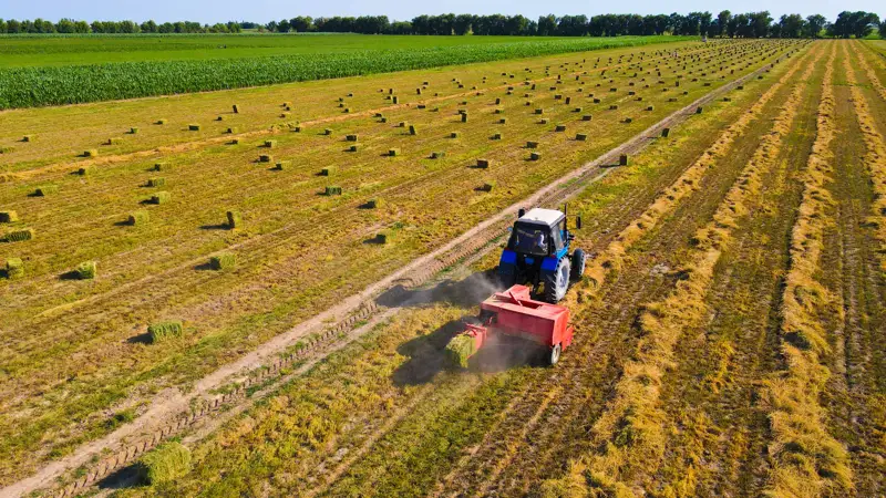 аграрные поля ауыл шаруашылығы алқаптары