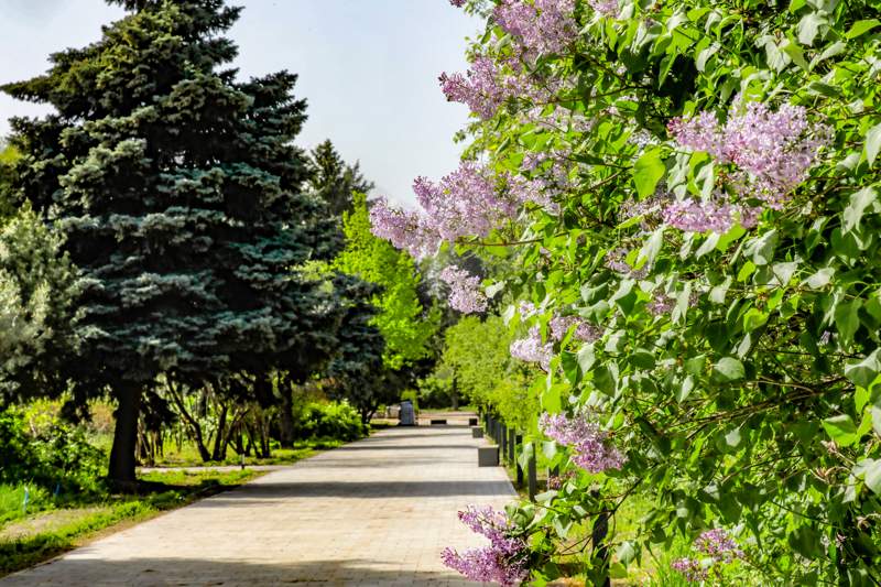 парк Алматы саябақ