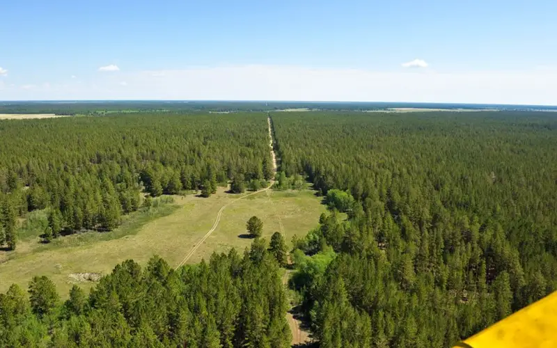 Ертіс орманы резерваты