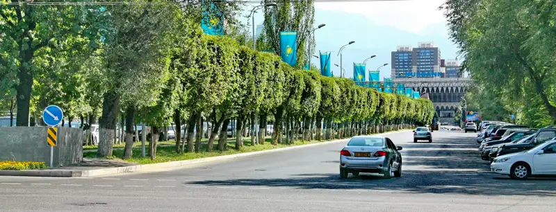 Дорога автомобиль Алматы жол көлік