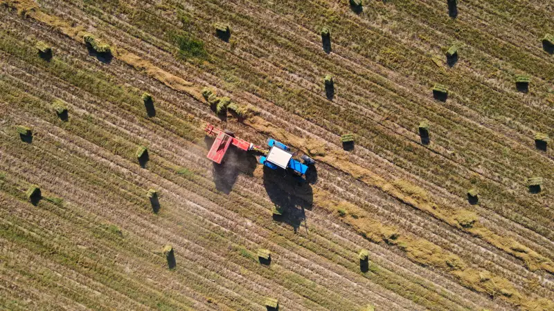 аграрные поля  ауыл шаруашылығы алқаптары