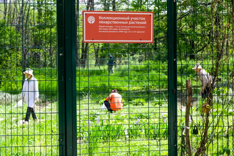 Ботанический сад  в Алматы 