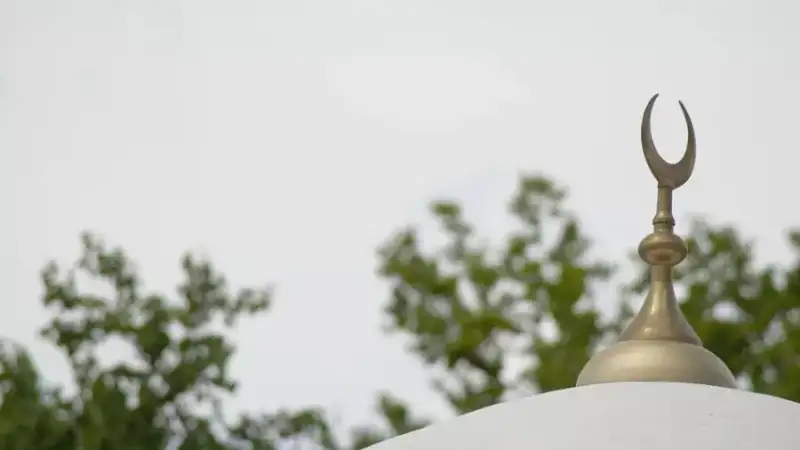 Фото: pixabay.com