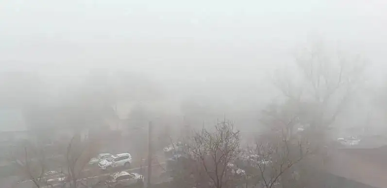 Туман и заморозки