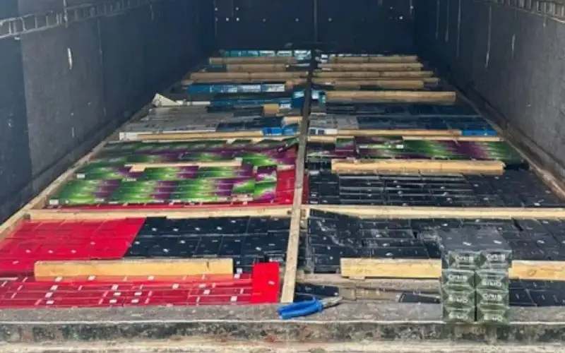 UQK Shekara qyzmeti temeki ónimderin zańsyz ákelýdiń jolyn kesti