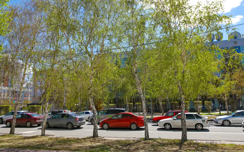 Какие улицы перекрыли в Астане, рассказали в акимате