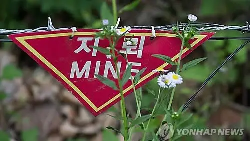 N. Korea installing mines, reinforcing barbed wire inside DMZ: source
