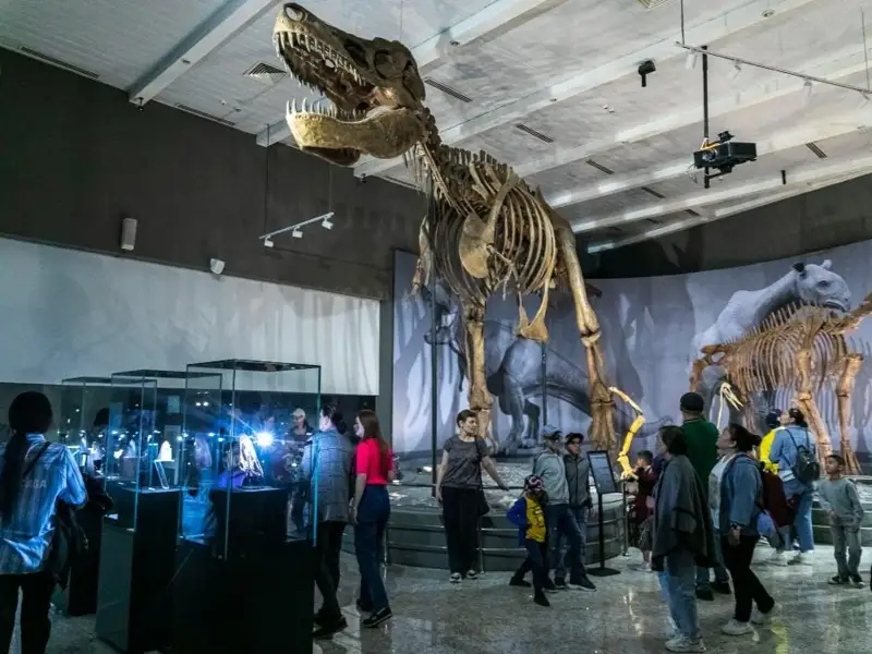 нацмузей, день музеев