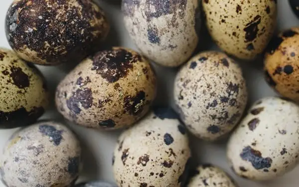 перепелиные яйца