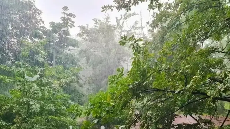 Жаңбыр жауып, найзағай ойнайды: 20 мамырға арналған ауа райы болжамы