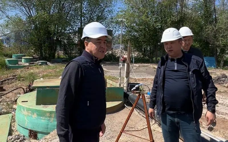Jylytý maýsymy