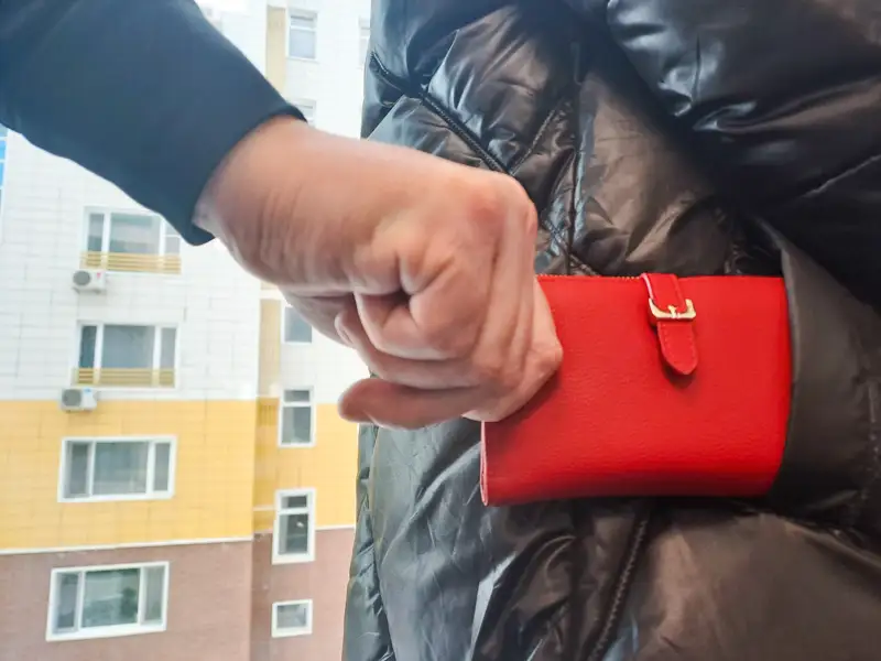 кража кошелек ұрлық әмиян 