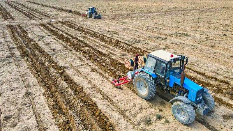 Pavlodarda dán sebýge ońtaıly kezeń 5 mamyrdan bastalady – agroǵylym 