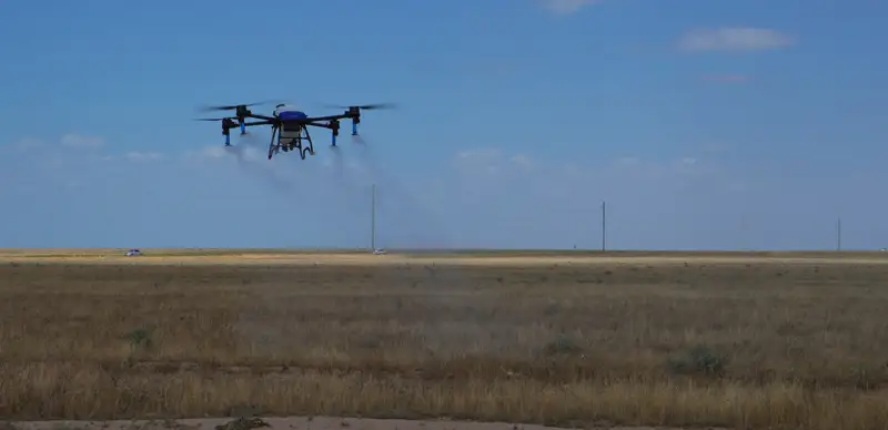 обработка полей 