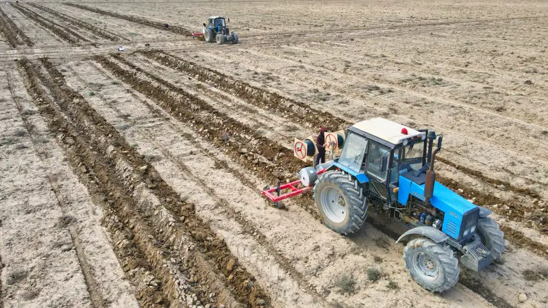 трактор в поле далада трактор
