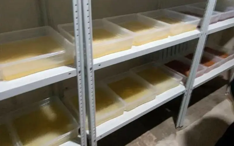 170 кг мефедрона изъято при обыске нарколаборатории в Павлодаре