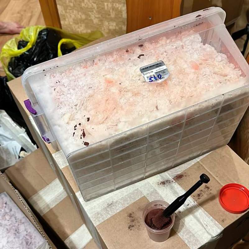 170 кг&nbsp;мефедрона изъято при обыске нарколаборатории в Павлодаре