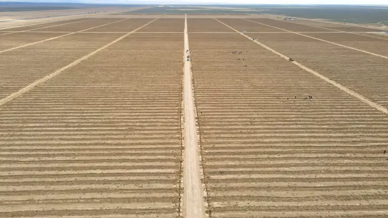 сельскохозяйственное поле 