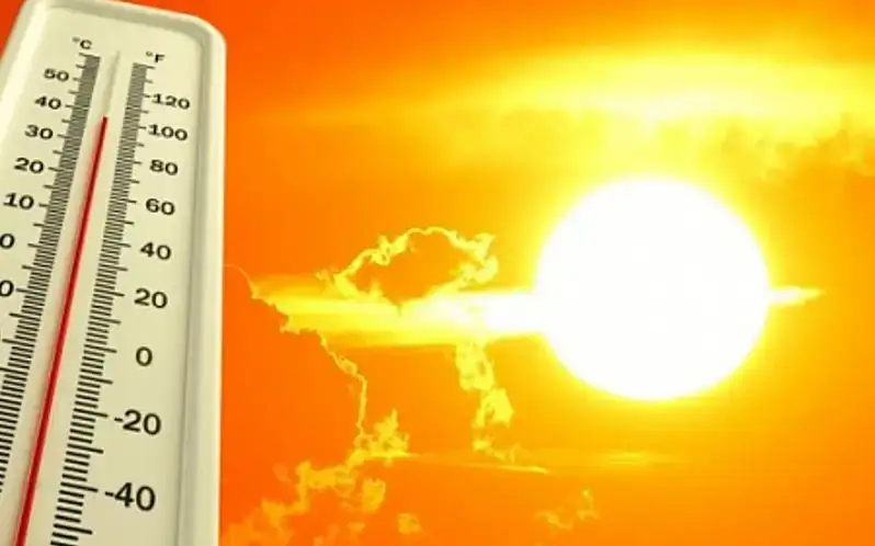 Ҳиндистонда кучли жазирама