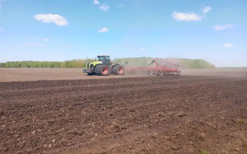 В СКО аграрии активно трудятся на посевной кампании