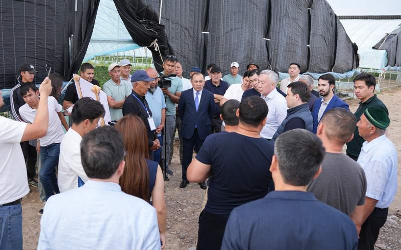 Вице-премьер Серик Жумангарин обсудил актуальные проблемные вопросы с владельцами и работниками тепличных хозяйств Сарыагашского района Вице-премьер Серик Жумангарин обсудил актуальные проблемные вопросы с владельцами и работниками тепличных хозяйств Сарыагашского района
