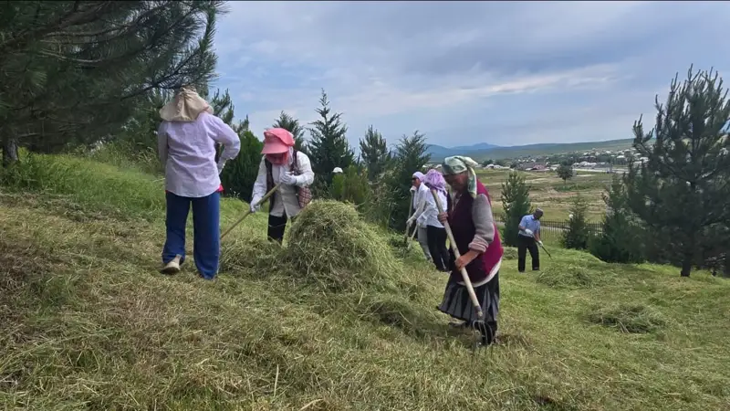 Түркістан облысы