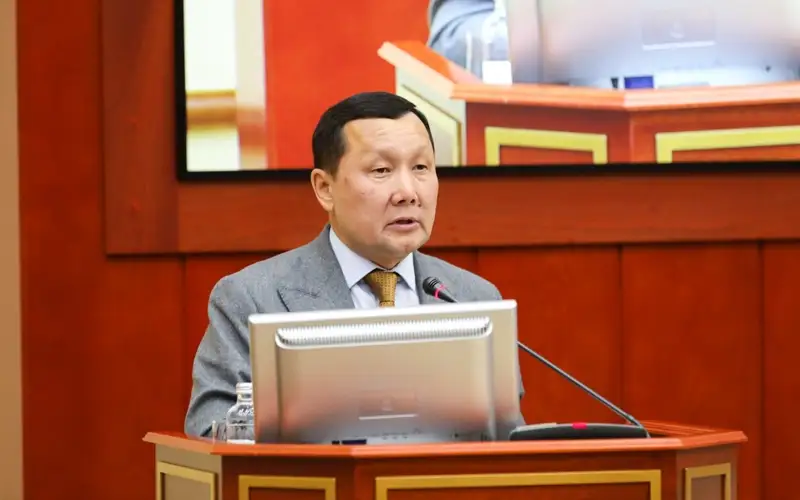 Мәжіліс депутаты