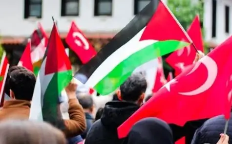 Турция призвала больше стран признать Палестину