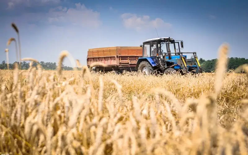 13 инвестпроектов в сфере АПК запланировано в этом году в ВКО 