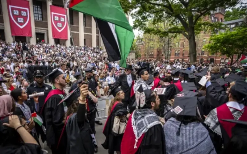 Студенты Калифорнийского университета и Гарвардского колледжа снова протестуют