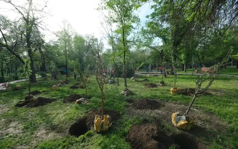 Kazakhstan to plant 15 million trees until 2025