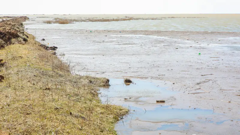 Паводок Жибек жолы Су тасқыны Жібек жолы