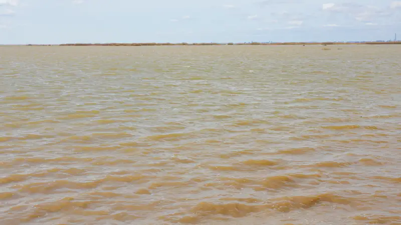 Паводок Жибек жолы Су тасқыны Жібек жолы