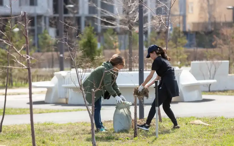 «Таза Қазақстан» акцияси доирасида 100 минг туп кўчат экилди