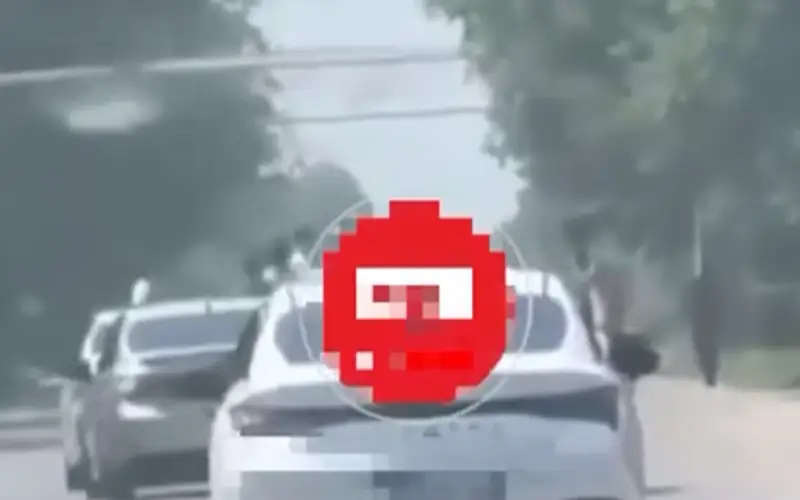 Кортеж выпускников устроил опасную езду в Алматинской области