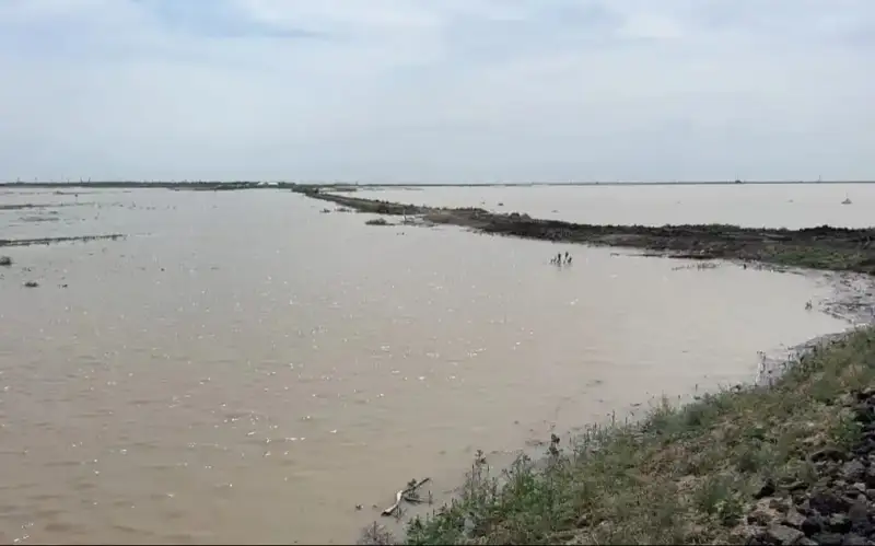 Village forced to evacuate in Atyrau region as water levels rise