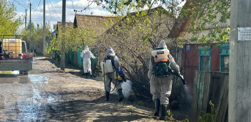 Дезинфекция и обработка домов после паводков продолжается в СКО 