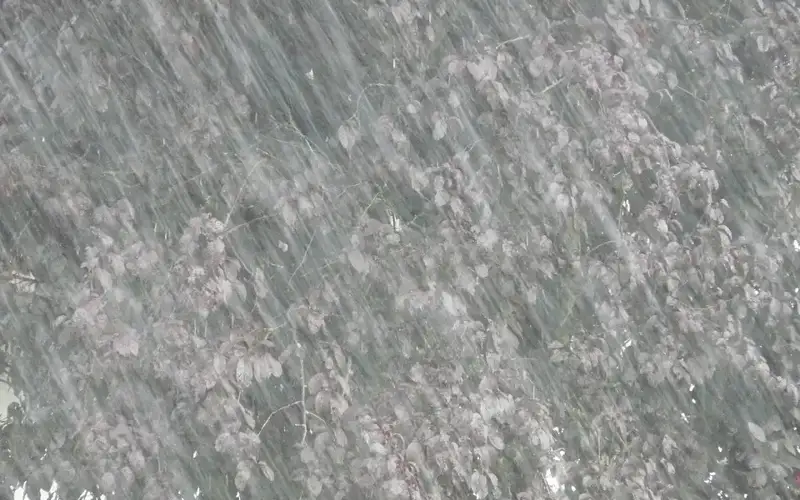 Kazakhstan to wake up to rainy, cold Sunday